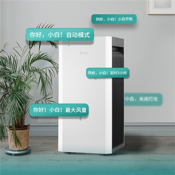 春雷乍動，萬物生機！2022款新頤小白3.0新上市