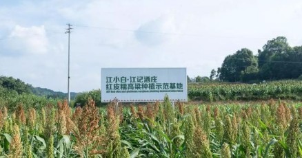 江小白構(gòu)建起全產(chǎn)業(yè)鏈，“重振渝酒”計(jì)劃帶來(lái)連鎖效應(yīng)