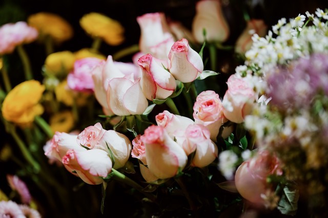 【有料評(píng)測(cè)】佳能RF135mm F1.8鏡頭評(píng)測(cè)：高畫質(zhì)遠(yuǎn)攝定焦新標(biāo)準(zhǔn) 