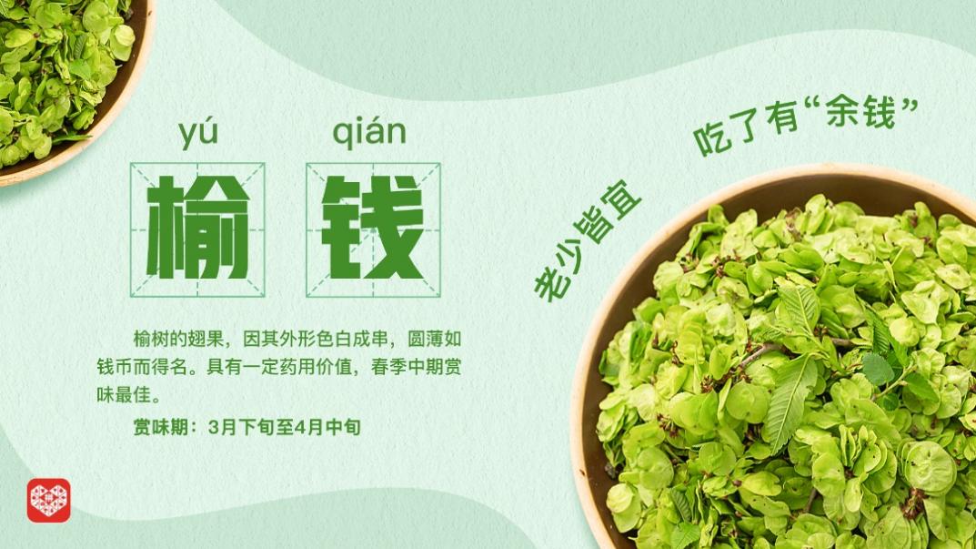 產(chǎn)地直發(fā)時(shí)令、百補(bǔ)加持春天，拼多多春菜爭鮮迎熱銷4.jpg