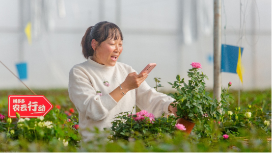 拼多多2022年研發(fā)費(fèi)用首度破百億，將繼續(xù)重投農(nóng)業(yè)科技，滿足用戶品質(zhì)需求970.png