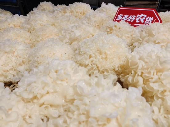 95后“菇三代”返鄉(xiāng)創(chuàng)業(yè)，拼多多助力菇農(nóng)增收致富412.jpg