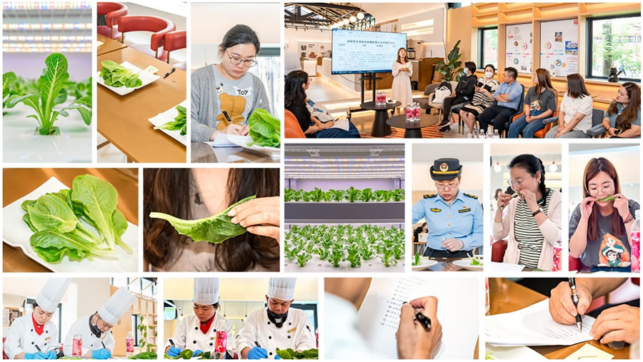 6月6日，15位大眾評(píng)審對(duì)決賽團(tuán)隊(duì)種植的“翠恬”生菜進(jìn)行試吃、打分，上海市長(zhǎng)寧區(qū)市場(chǎng)監(jiān)管工作人員進(jìn)行了現(xiàn)場(chǎng)快檢.jpg