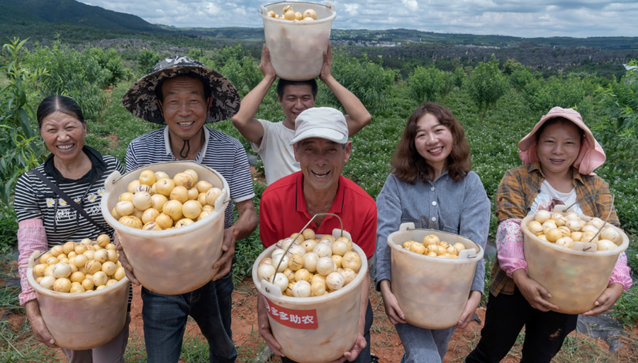 2024中國農(nóng)產(chǎn)品電商發(fā)展報(bào)告發(fā)布，拼多多從人與技術(shù)入手培育新質(zhì)生產(chǎn)力.jpg