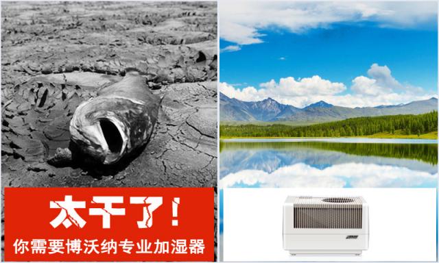 房間太干了，還能用什么加濕器？