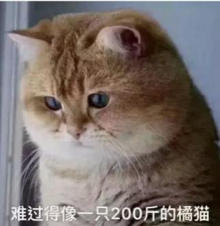 難說再見！LPL003姿態(tài)正式退役，老一代英雄聯(lián)盟玩家的回憶終將落幕？