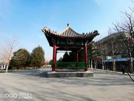 4800萬像素+超大廣角，華為nova4后置三攝帶來更多新玩法