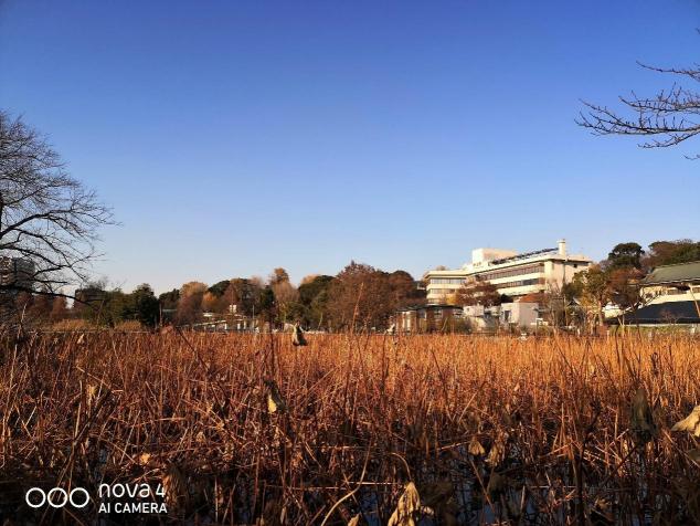 廣角拍攝為什么會成為趨勢？看看華為nova4拍攝的樣張就知道了