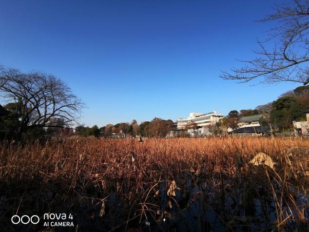 廣角拍攝為什么會成為趨勢？看看華為nova4拍攝的樣張就知道了