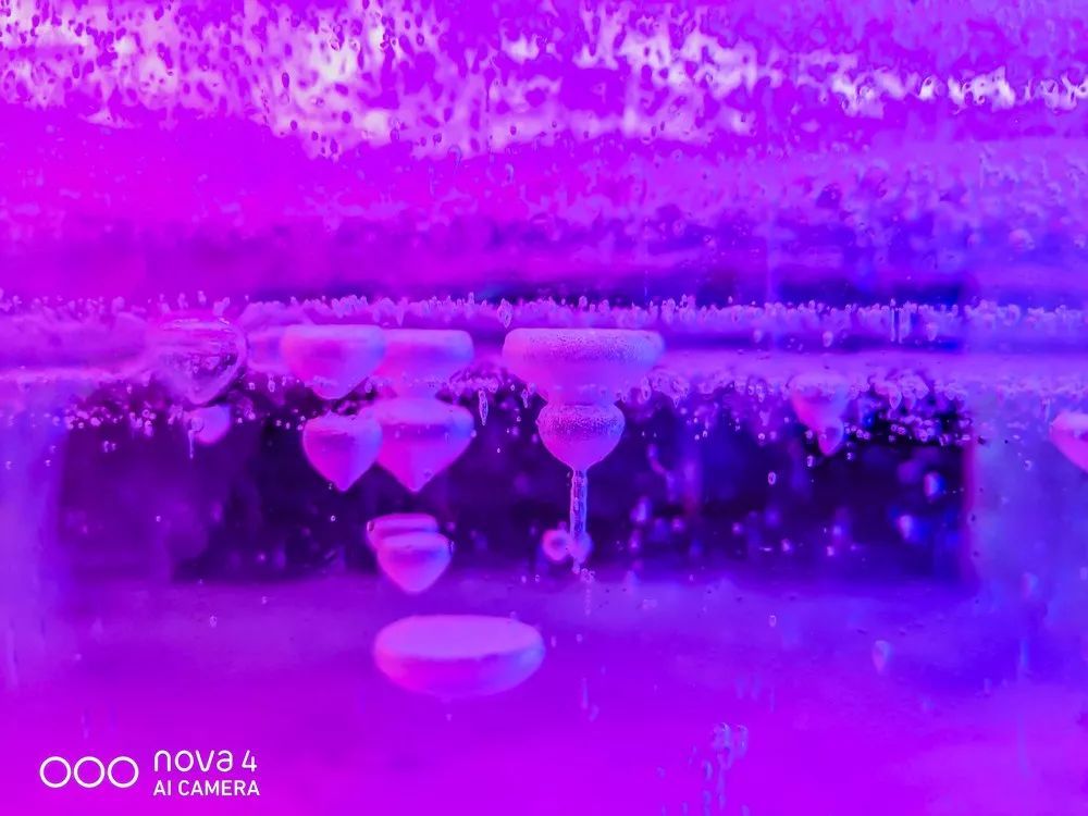從蒼茫大地到絢麗古都，用華為nova4的超廣角留住一路美景
