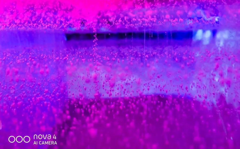 從蒼茫大地到絢麗古都，用華為nova4的超廣角留住一路美景