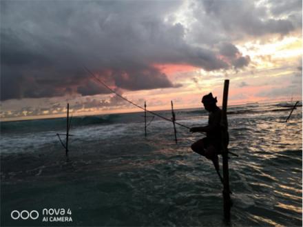 解讀海外華為nova4廣角樣張，大廣角功能讓拍照如虎添翼！