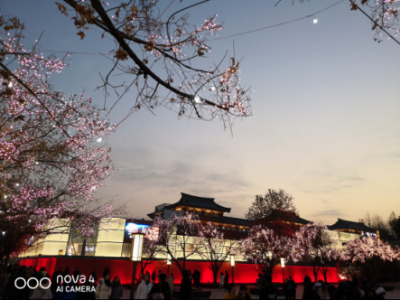 三大電商平臺好評近滿分，華為nova4為何受到如此歡迎？