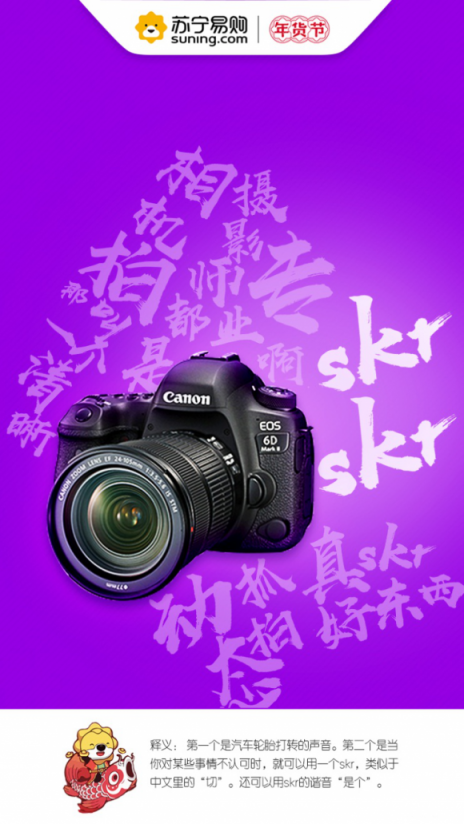 蘇寧數(shù)碼年貨節(jié)8大熱詞，洞見新年新生活