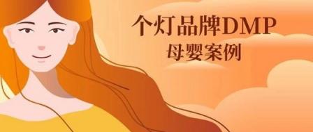 助力品牌營(yíng)銷增效降本，個(gè)燈數(shù)據(jù)為母嬰行業(yè)保駕護(hù)航