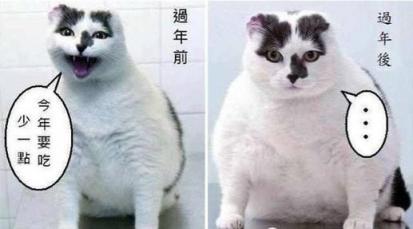 掃一掃就能知道卡路里？華為nova4成減肥好幫手