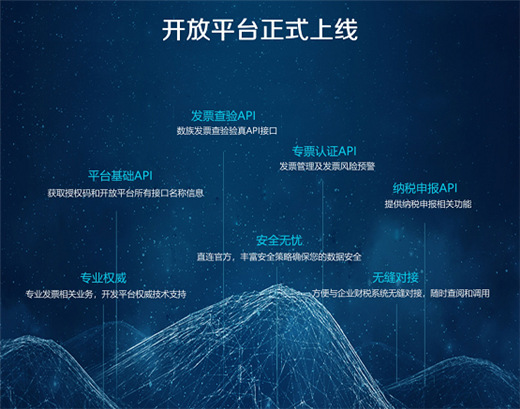 數(shù)族科技開放平臺(tái)亮相廣州支付展，票財(cái)稅賦能零售商企用戶