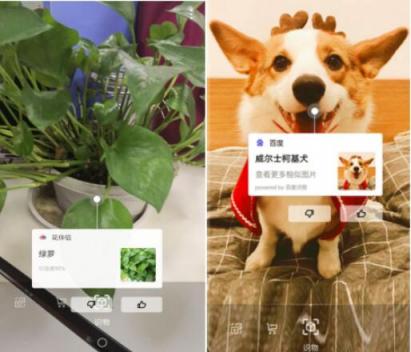花樣青春多彩人生， 女神節(jié)華為nova系升級(jí)EMUI9.0質(zhì)享生活