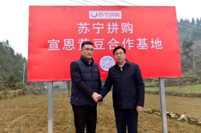 一個“拼基地”每年售出3億，扶貧對蘇寧而言絕非口號！