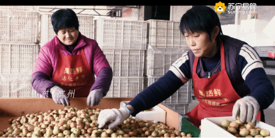 當全民煥新節(jié)遇上精準扶貧，讓電商節(jié)有了特別的溫度