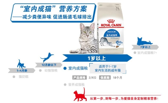 二哈拆家？蘇寧煥新節(jié)給鏟屎官支招