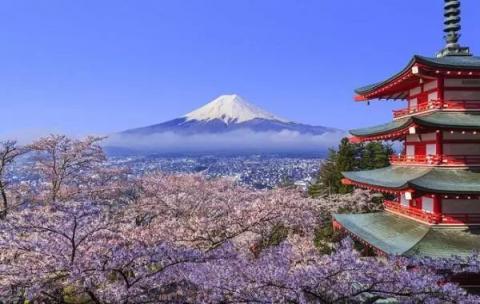 又到賞櫻季！芝麻信用攜手小豬?日本民宿5折起?還可以免押金！