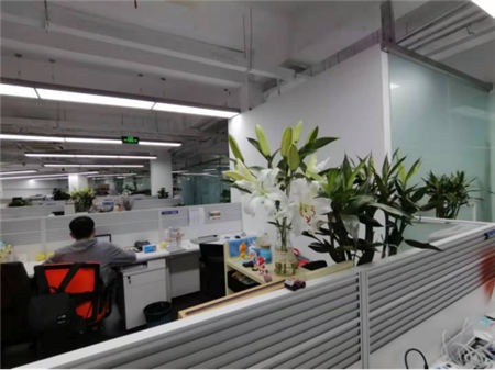 打造高顏值自拍神器，華為nove 4e或成年輕人手機時尚新標桿