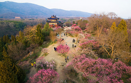 煙花三月，老司機(jī)教你最正確的踏春打開方式！