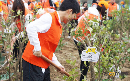 杭州自如綠色公益：共建“自如林”，與城市一起深呼吸