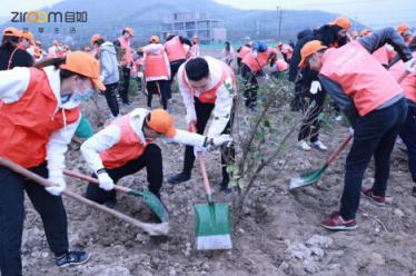 杭州自如綠色公益：共建“自如林”，與城市一起深呼吸