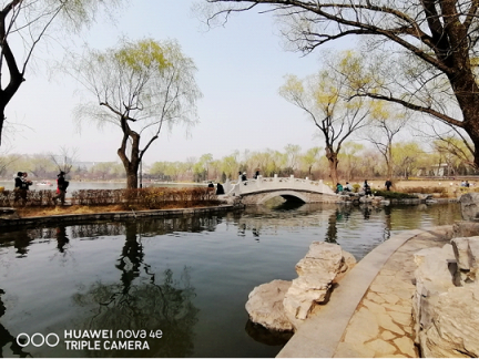 不知如何自拍才更美？華為nova 4e前置3200萬自拍神器祝你一臂之力