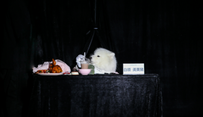 佑美跑步機(jī)U20新品發(fā)布會(huì)成功召開——看職場(chǎng)狗如何賞鑒新時(shí)代跑步機(jī)