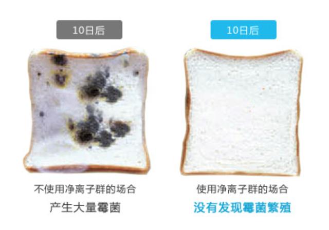 夏普凈離子群技術(shù)風靡全球 賦能全系家電呵護生活健康
