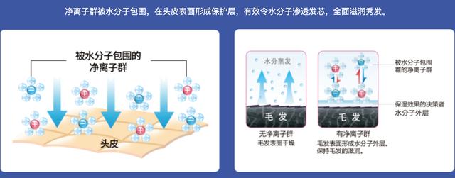 夏普凈離子群技術(shù)風靡全球 賦能全系家電呵護生活健康