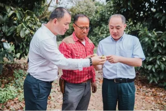 蘇寧“卞包包”再出手！這次是泰國2000萬顆榴蓮