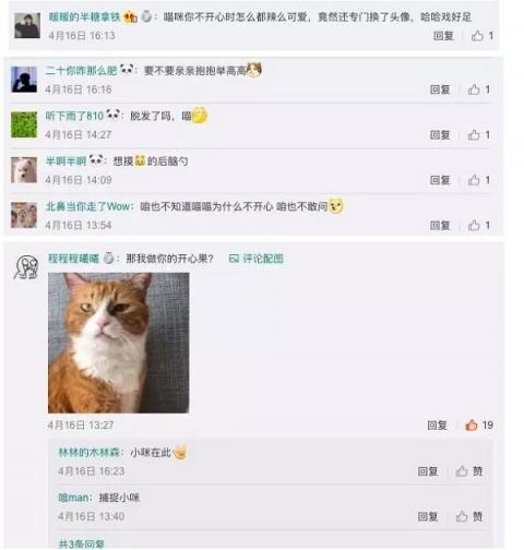 天貓TA為什么不開心？剛剛，這個(gè)秘密正式揭曉