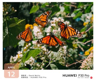 華為P30系列引領(lǐng)手機(jī)攝影革新 改寫(xiě)攝影規(guī)則