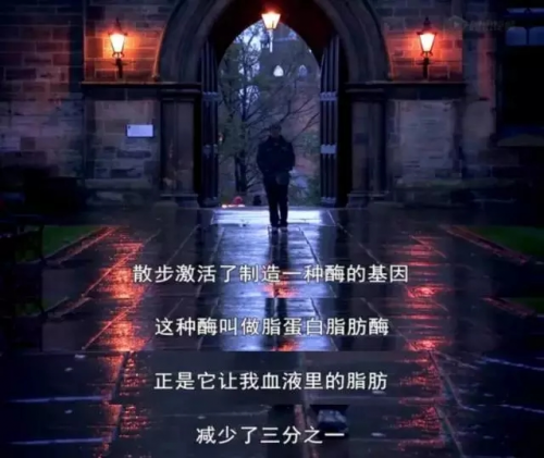 誰(shuí)來拯救年輕人的亞健康？Garmin佳明智能健康手表告訴你