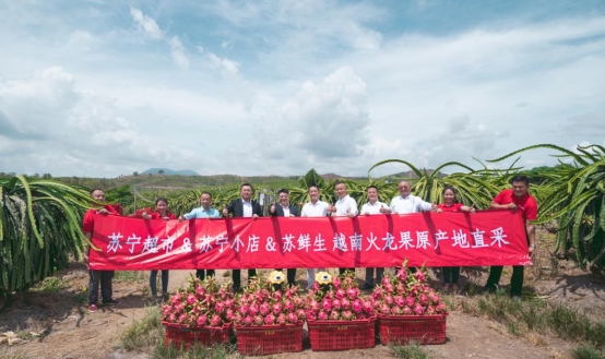 越南火龍果的20分鐘旅程，蘇寧快消實地見證