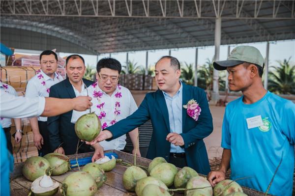 蘇寧快消再下一城，“包圓”越南3萬(wàn)畝火龍果基地