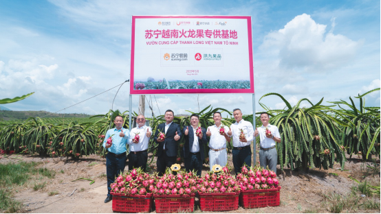 再包3萬畝越南火龍果，蘇寧如何攪動(dòng)快消市場(chǎng)一池春水？