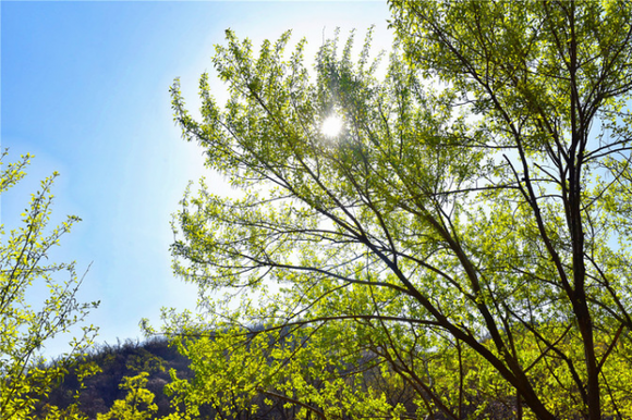放歌朝陽(yáng)大黑山——大黑山風(fēng)景區(qū)2019春季旅行攻略