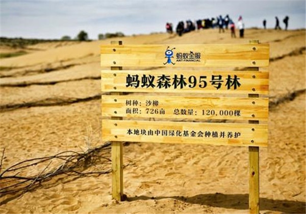 AI遇到公益，天貓精靈螞蟻森林套裝首發(fā)