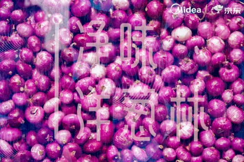 美的冰箱空降食材藝術(shù)展，導(dǎo)致在場(chǎng)上千枚洋蔥集體“變異”