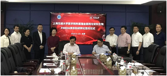 安科生物與瑞金醫(yī)院簽約P53靶向藥PANDA，新型廣譜抗癌藥在合肥轉(zhuǎn)化