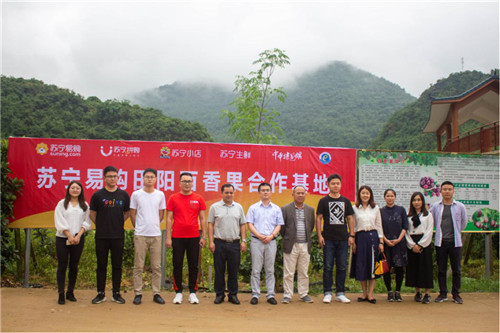 蘇寧拼購建立田陽“拼拼農(nóng)莊”促進(jìn)農(nóng)產(chǎn)品上行