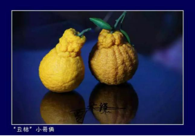 2019青少年非物質(zhì)文化遺產(chǎn)博覽會即將舉行
