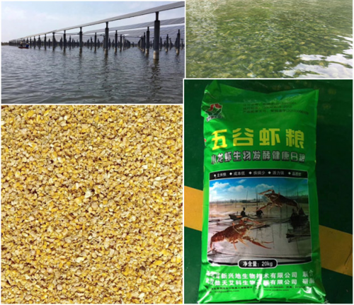 從產(chǎn)地直采到壞蝦包賠，看蘇寧如何做透小龍蝦生意
