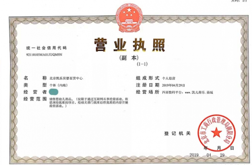 京客網(wǎng)承辦第三屆中文域名應(yīng)用論壇“.商城”域名分會(huì)在京召開