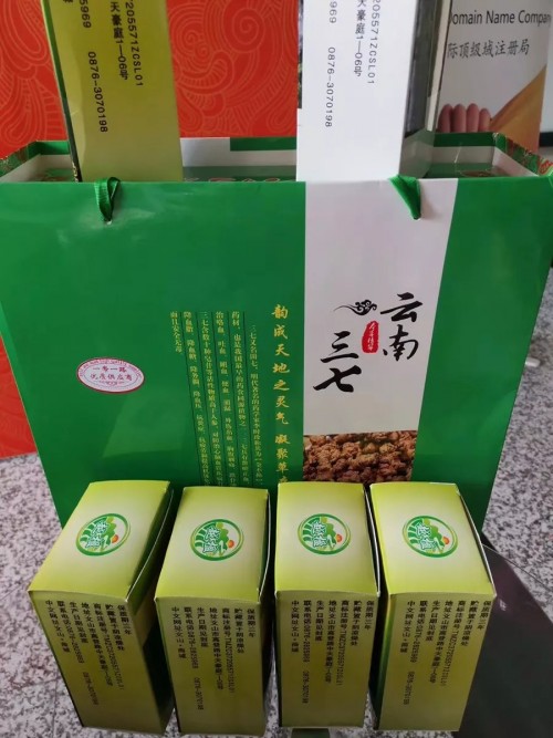 京客網(wǎng)承辦第三屆中文域名應(yīng)用論壇“.商城”域名分會(huì)在京召開